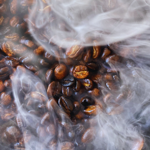 Blog post header highlighting the discovery of Arabica coffee's ancient origins in Ethiopia