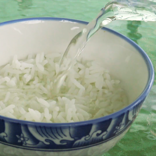 Blog post on Thai Floral Rice highlighting its cooling properties and cultural significance