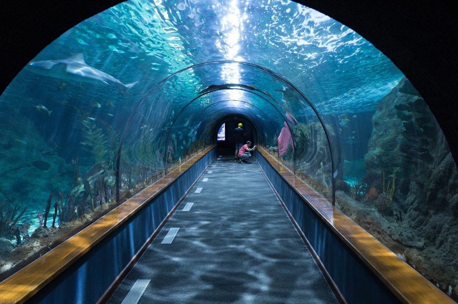 Best Aquariums in the world