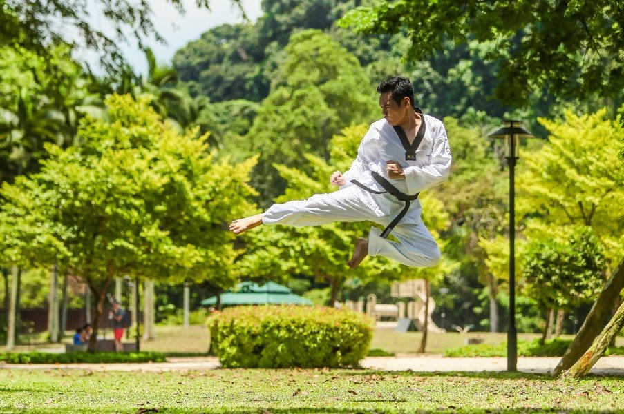 Best martial arts styles in The World