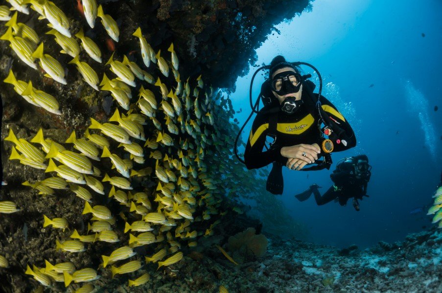 Best scuba diving locations